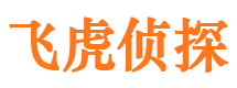 枞阳寻人公司